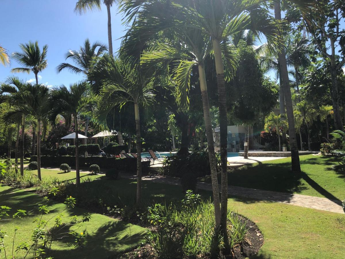 Comfortable Apartment In Caribbean Paradise Сосуа Экстерьер фото